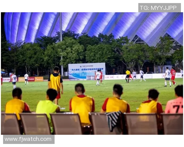 宁德足球明星盘点他们在绿茵场上的辉煌成就与故事